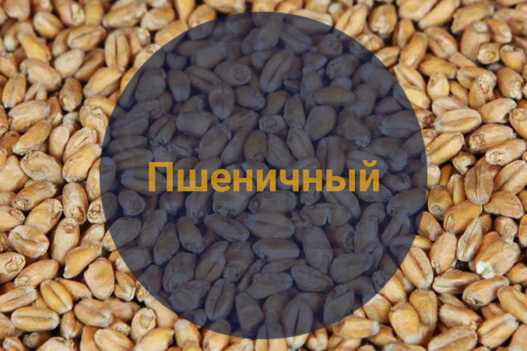 Солод Пшеничный / Malt De Ble, 2-5 EBC (Soufflet), 1 кг.