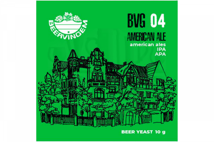 Дрожжи Beervingem для охмеленного пива "American Ale BVG-04", 10 г