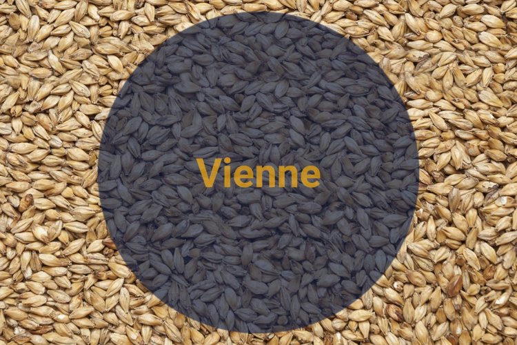 Солод весовой Венский / Vienne, 7-10 EBC (Soufflet)