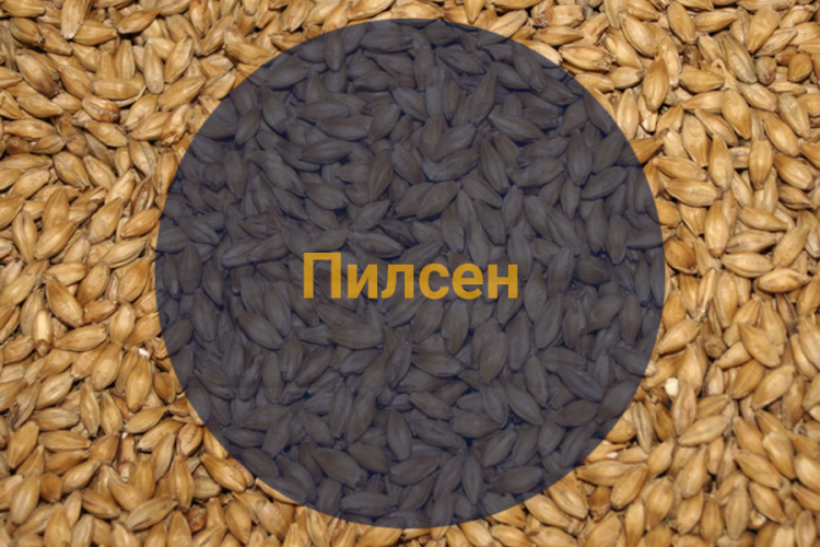 Солод Пилсен (Viking malt), 1 кг