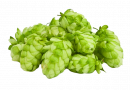 Хмель Beervingem в шишках "Cascade Whole Cone", 50 г