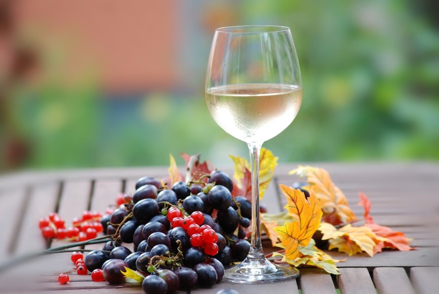 «Лайфхаки» опытных виноделов: приготовление вин из ягод