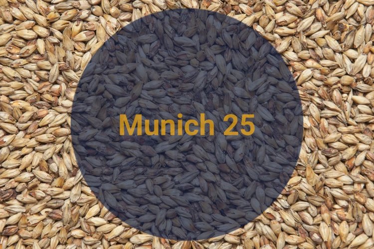 Солод Мюнхенский 25 / Munich 25, 20-30 EBC (Soufflet) 5кг.