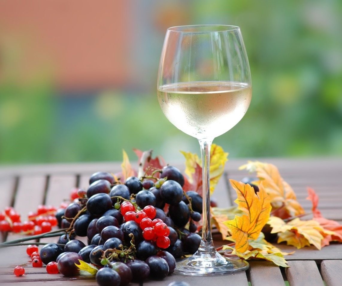«Лайфхаки» опытных виноделов: приготовление вин из ягод
