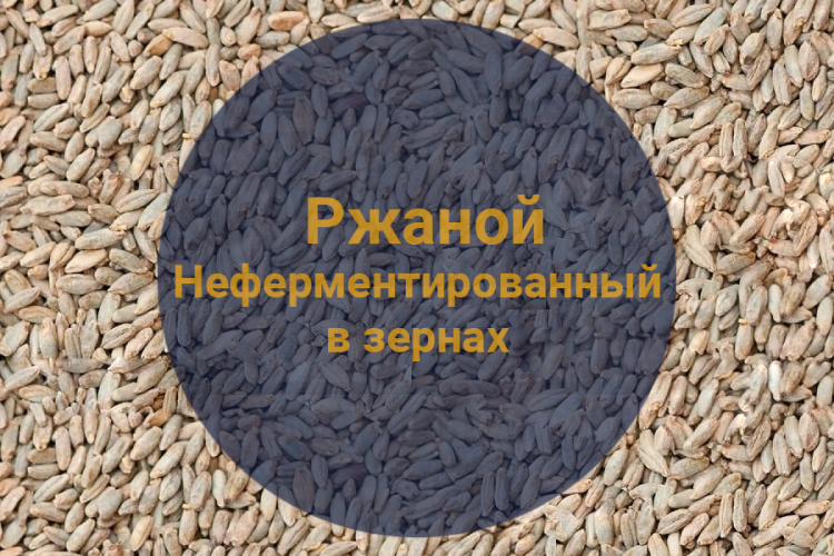 Солод весовой Ржаной Неферментированный в зернах (Росток)