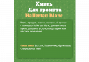 Хмель Beervingem "Hallertau Blanc", 50 г