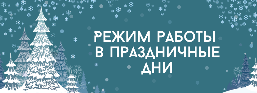 Режим работы в новогодние праздники 2026