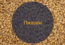 Солод Пилсен (Viking malt), 1 кг