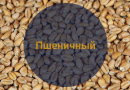 Солод Пшеничный / Malt De Ble, 2-5 EBC (Soufflet) 5кг.