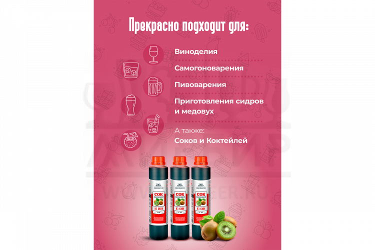 Концентрированный сок Домашняя Мануфактура "Из киви", 1 кг