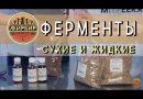 Фермент Амилосубтилин, 100 г