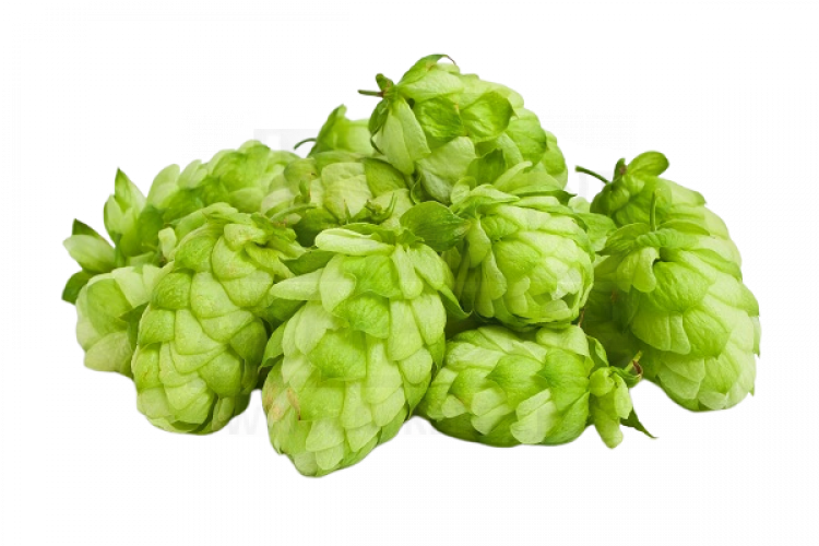 Хмель Beervingem в шишках "Cascade Whole Cone", 50 г