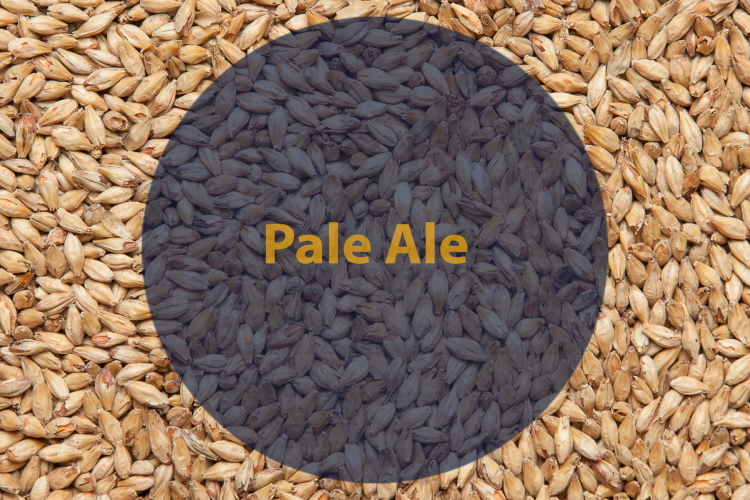 Солод Pale Ale (Viking malt), 1кг