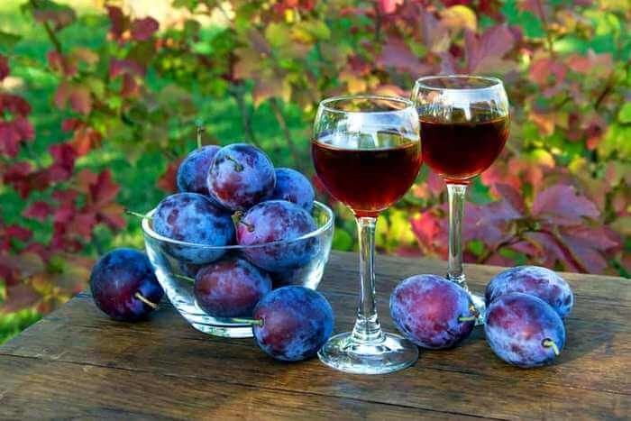 Современное виноделие: домашнее вино из сливы