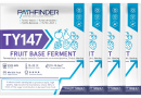 Комплект: Спиртовые дрожжи Pathfinder "Fruit Base Ferment", 120 г, 4 шт. 