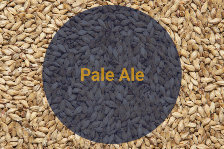 Солод Пейл Эль / Pale Ale, 4,5-7 EBC (Soufflet) 5 кг.