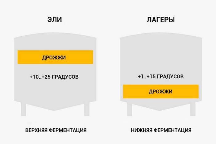 чем заменить дрожжи для пива. Смотреть фото чем заменить дрожжи для пива. Смотреть картинку чем заменить дрожжи для пива. Картинка про чем заменить дрожжи для пива. Фото чем заменить дрожжи для пива