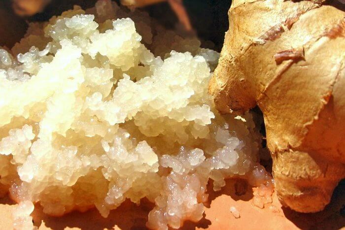 Что такое ginger beer. Смотреть фото Что такое ginger beer. Смотреть картинку Что такое ginger beer. Картинка про Что такое ginger beer. Фото Что такое ginger beer