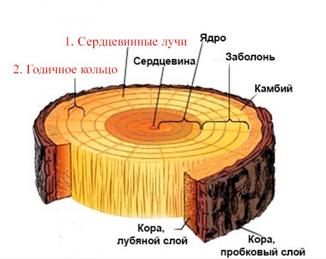 Как выбрать дубовую бочку